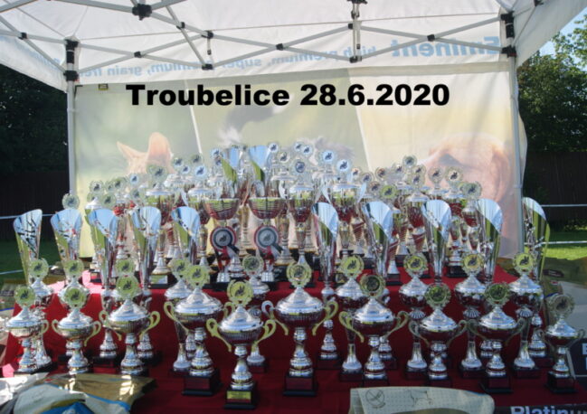 Troubelice